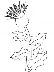 Thistle coloring page 5 - Free printable
