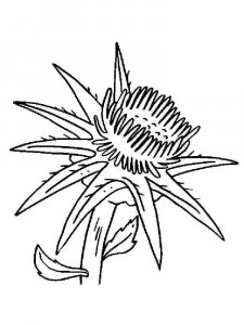 Thistle coloring page 7 - Free printable