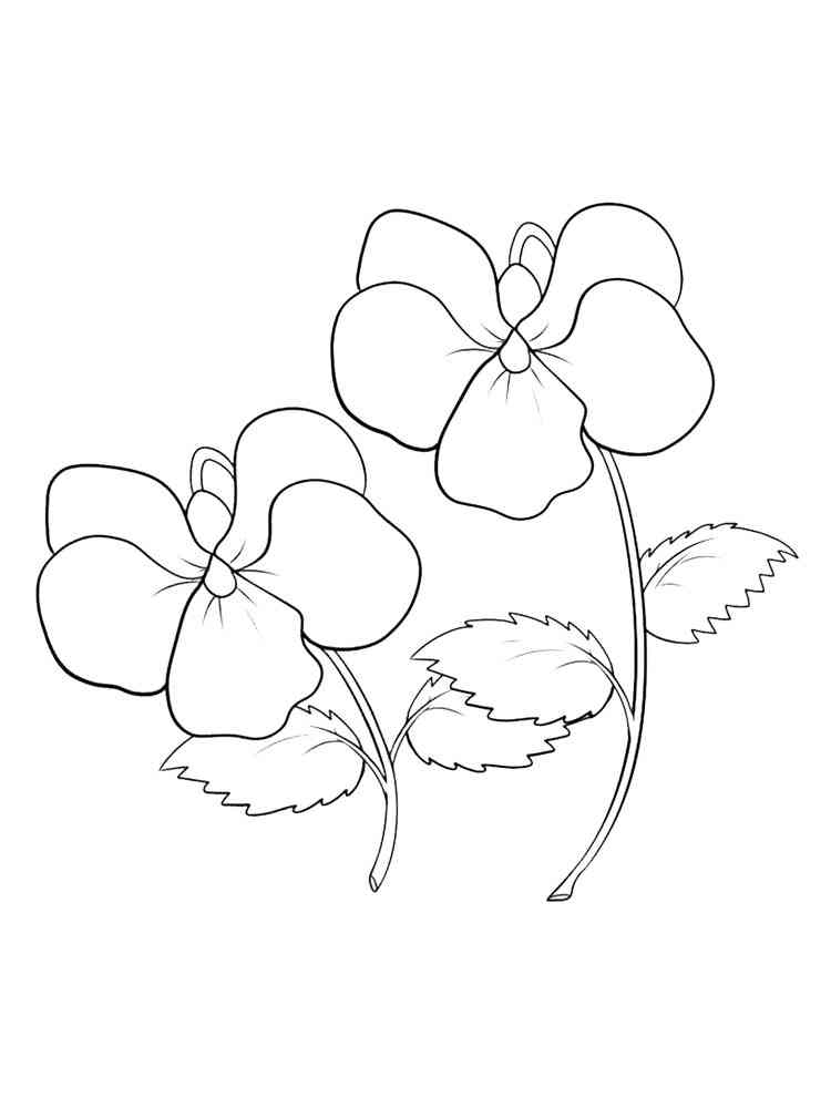 wood violet coloring pages