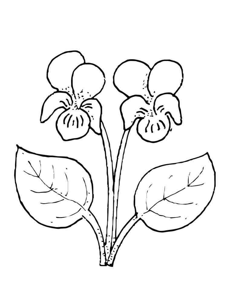 Download Violet coloring pages. Download and print Violet coloring ...
