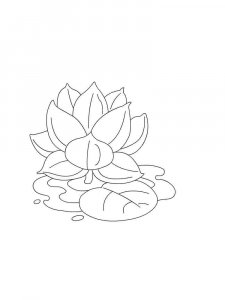 Water Lily coloring page 13 - Free printable