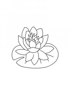 Water Lily coloring page 20 - Free printable