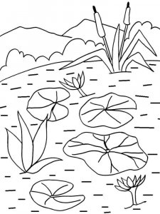 Water Lily coloring page 5 - Free printable