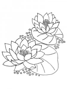 Water Lily coloring page 8 - Free printable