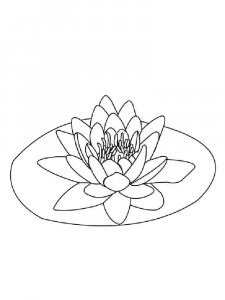 Water Lily coloring page 9 - Free printable