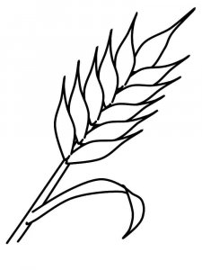 Wheat coloring page 1 - Free printable