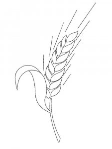 Wheat coloring page 2 - Free printable