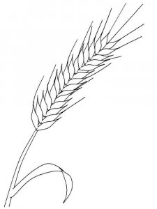 Wheat coloring page 3 - Free printable