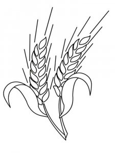 Wheat coloring page 4 - Free printable