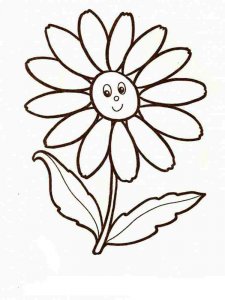 Chamomile coloring page 8 - Free printable