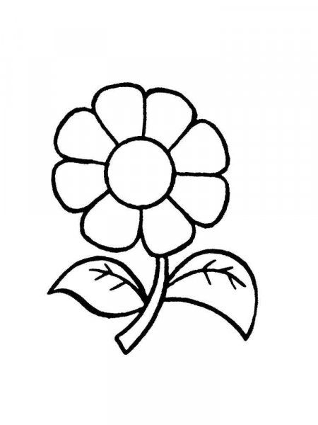 Chamomile Flower coloring pages