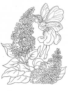 Lilac coloring page 3 - Free printable