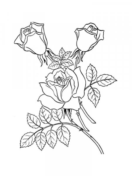 Rose coloring pages