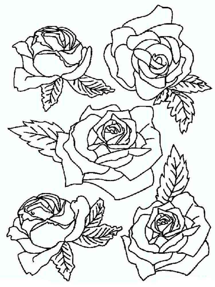 Rose coloring pages Download and print Rose coloring pages