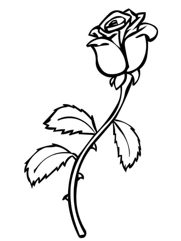 Rose  coloring  pages  Download and print Rose  coloring  pages 