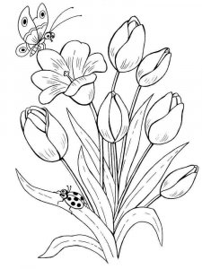 Tulip coloring page 10 - Free printable