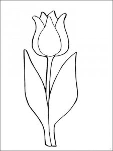 Tulip coloring page 14 - Free printable