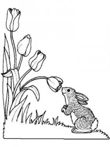 Tulip coloring page 17 - Free printable