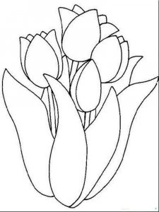 Tulip coloring page 4 - Free printable