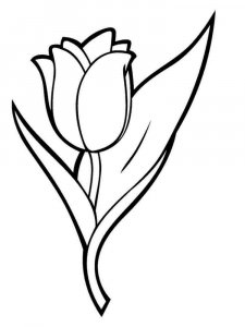 Tulip coloring page 7 - Free printable