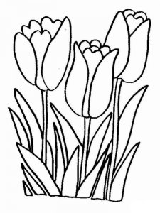 Tulip coloring page 8 - Free printable