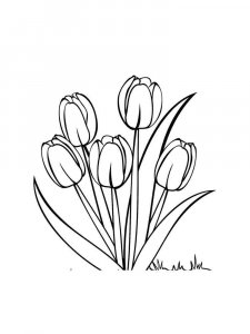 Tulip coloring page 20 - Free printable