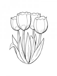Tulip coloring page 21 - Free printable
