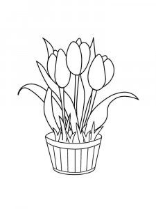 Tulip coloring page 23 - Free printable