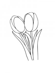 Tulip coloring page 30 - Free printable