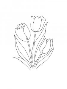 Tulip coloring page 31 - Free printable