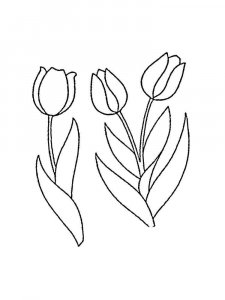 Tulip coloring page 35 - Free printable