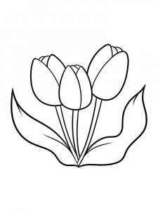 Tulip coloring page 36 - Free printable