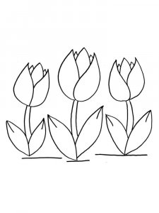 Tulip coloring page 37 - Free printable