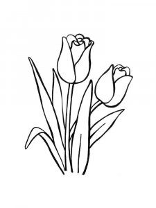 Tulip coloring page 39 - Free printable