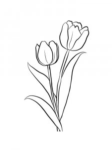 Tulip coloring page 41 - Free printable