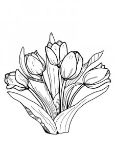 Tulip coloring page 42 - Free printable