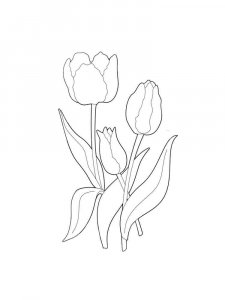 Tulip coloring page 43 - Free printable