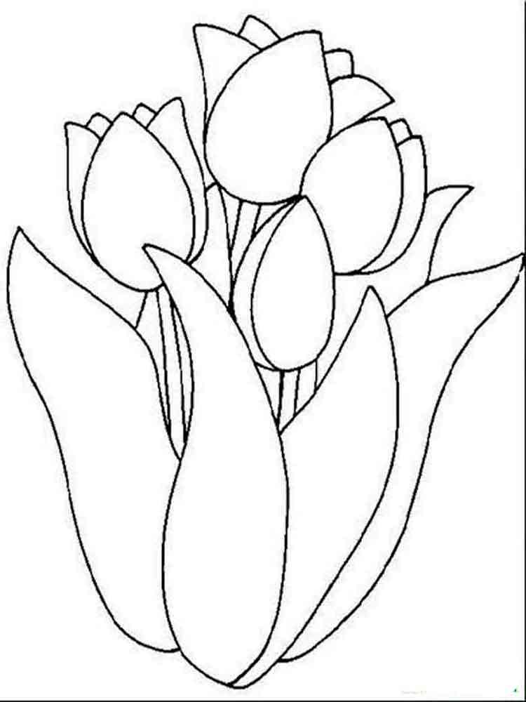 Tulip coloring pages. Download and print Tulip coloring pages