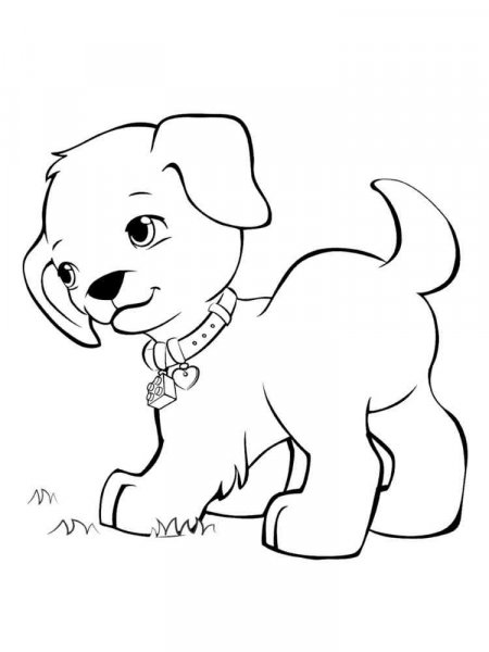 Animals for girls coloring pages