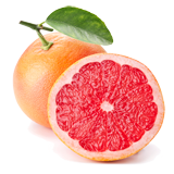 Grapefruit coloring pages