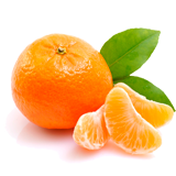 Mandarin(Tangerine) coloring pages