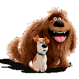 The Secret Life of Pets coloring pages