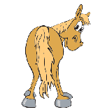 Cartoon Horse coloring pages