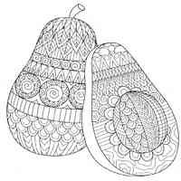 Avocado coloring pages for Adults