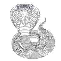 Cobra coloring pages for Adults