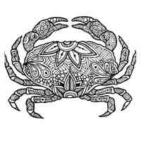 Crab coloring pages for Adults