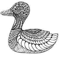 Duck coloring pages for Adults