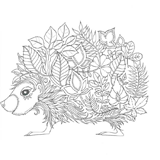Hedgehog coloring pages for Adults