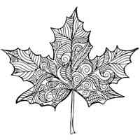 Leaves coloring pages for Adults