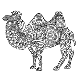 Camel coloring pages for Adults
